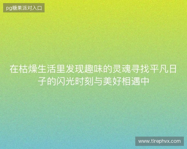 在枯燥生活里发现趣味的灵魂寻找平凡日子的闪光时刻与美好相遇中