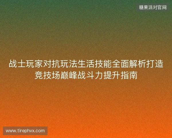 战士玩家对抗玩法生活技能全面解析打造竞技场巅峰战斗力提升指南
